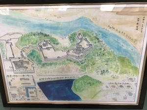 IMG_8615.jpg