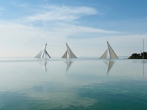IMG_3845.jpg