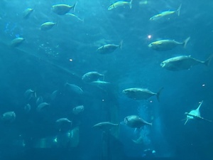 IMG_3847.jpg