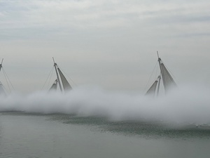 IMG_3874.jpg
