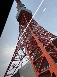 IMG_3778.jpg